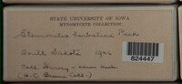 Image Associated With the Occurence